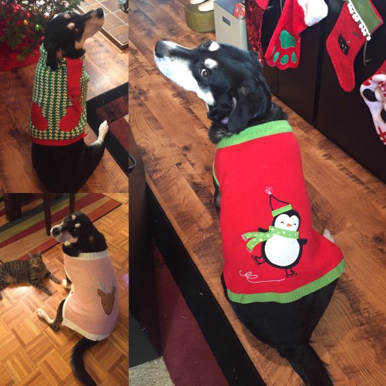 5028add4-c118-47bb-8811-9b9988a55c78