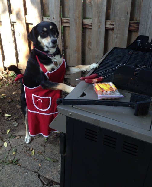Choppy Cooking Hot Dogs