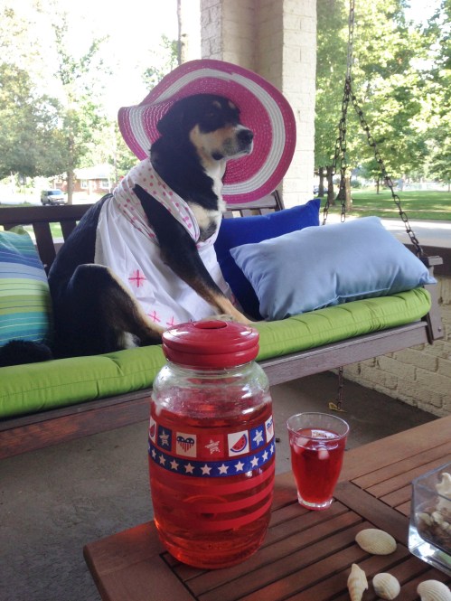 Choppy May Have Drunk the Kool-Aid