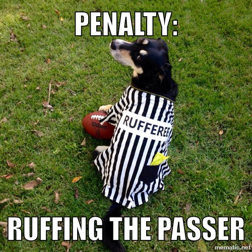 Meme - Ruffing the Passer
