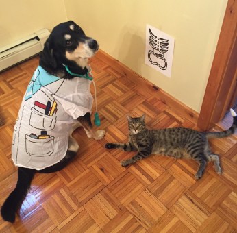 Choppy and Schooner X-Ray