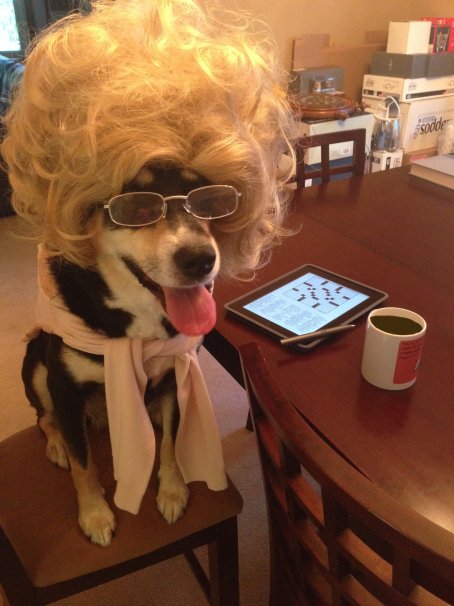 Coffee Talk with Choppy the Dog