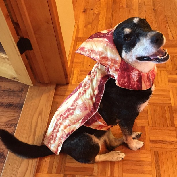 Bacon Dog