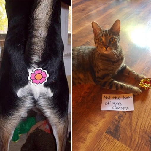 6a3d4146-c001-4d88-8310-adfc198b19da