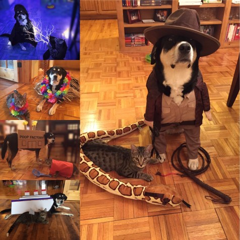 6252a7ba-3c97-429e-ab9a-4c87ca6bc8f0