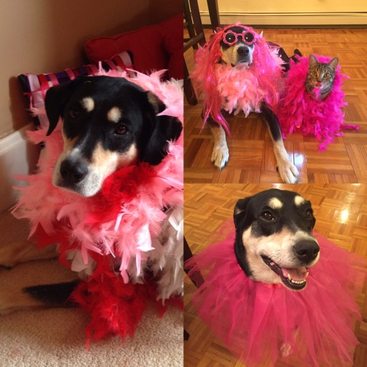 240B7422-33EC-44B5-85C2-1957489A595E