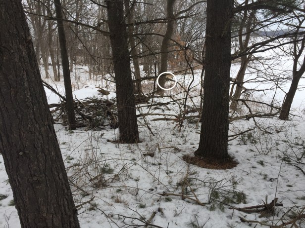 1d13b6af-8a68-44a7-8d68-c9a47a426836