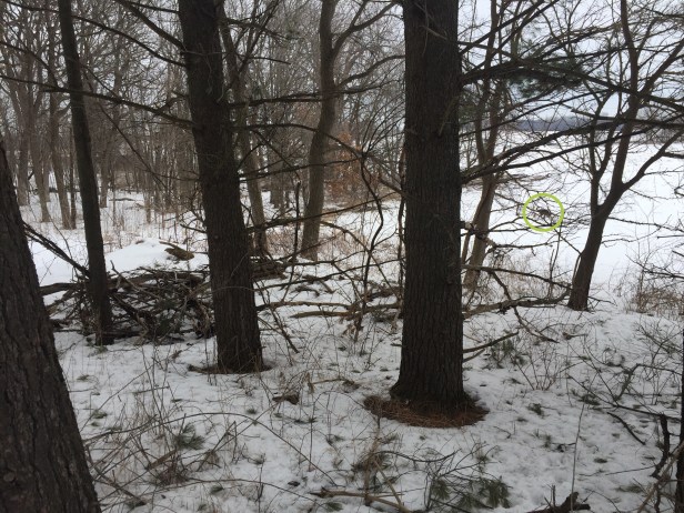 90d2f0ab-0fb7-4023-a283-0871680bfdc1