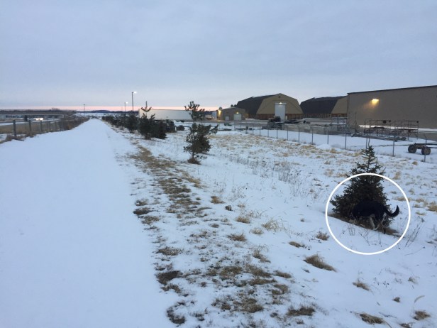 a1f056ee-3252-4463-88f5-b7c6762c438d