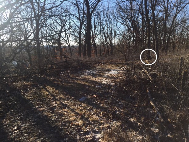 b14272f0-f310-4e6b-af98-5e4bb1b0c275