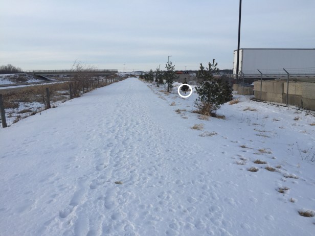 b1e1ea34-1345-4de2-bdb2-00e56036a729