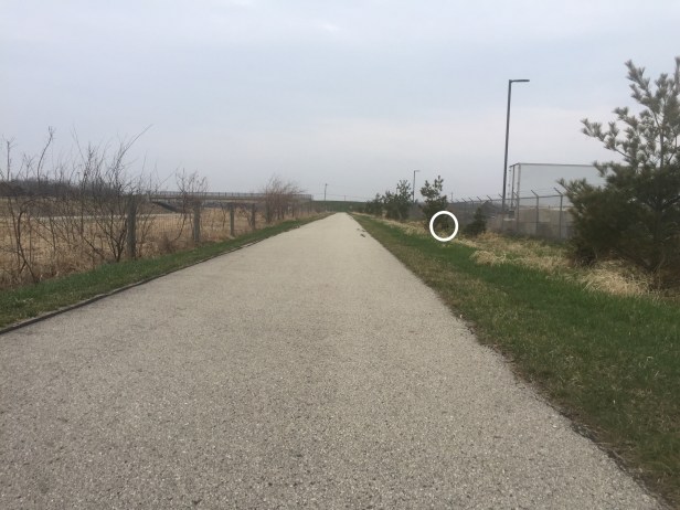 187eb531-abae-413c-a1f3-dd6242071864