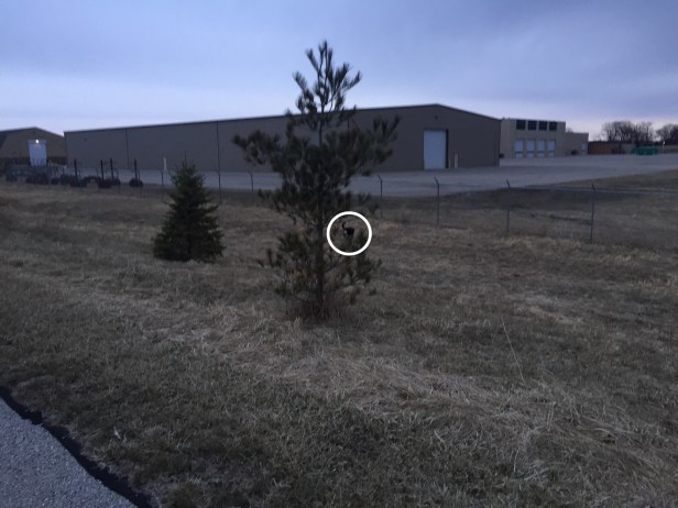 3beaba3c-5408-47ea-8404-3597097d51e4