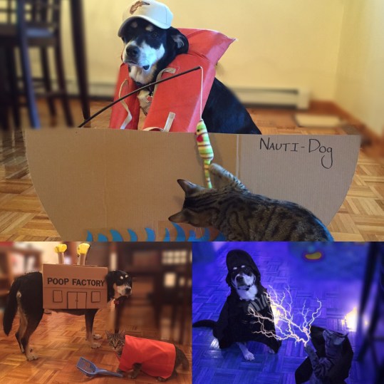 509E87FD-842B-4790-9620-C090C74D4858