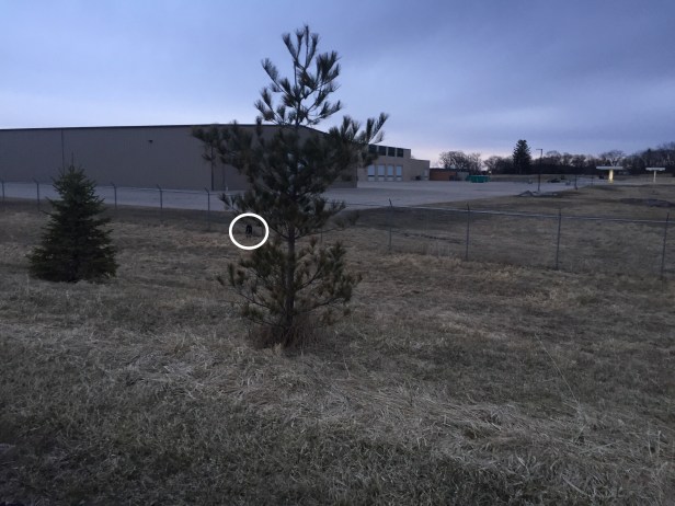 d0703d78-6d28-481d-afee-f15aa5cc0863