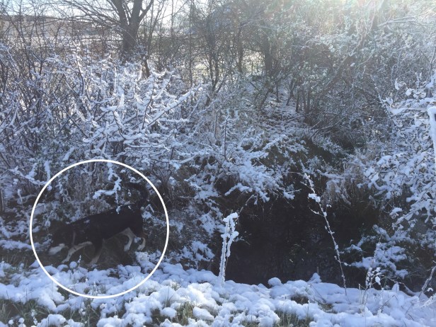 7cac6232-2b00-410f-8a4f-07cd53aadfaa