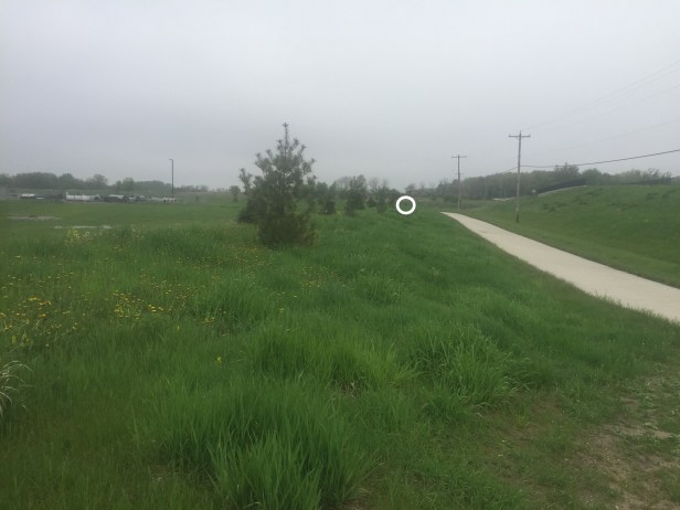 cc2b4168-11bf-49d5-a0a9-871b7b18378d