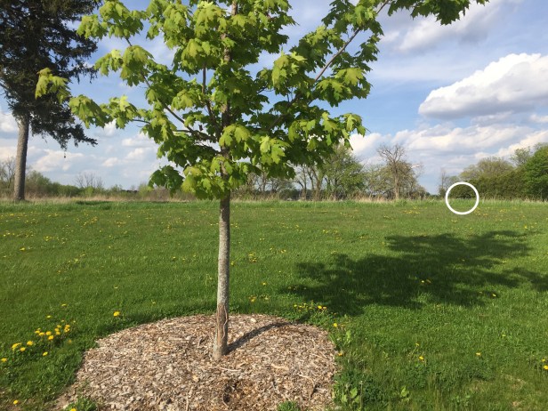 fb9d265e-9b18-416c-b832-79ab51c6af86