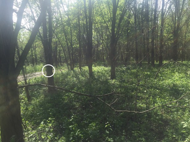 0fd40798-a1c1-4fcc-8942-71f0b4f4e509