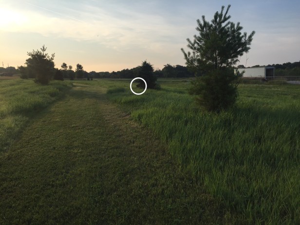 1d68db6f-73eb-4b75-b1c0-332e2decffc3