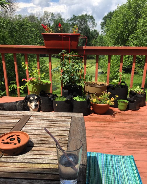 5ADBC425-22EB-4584-B8A1-60989525C7E7