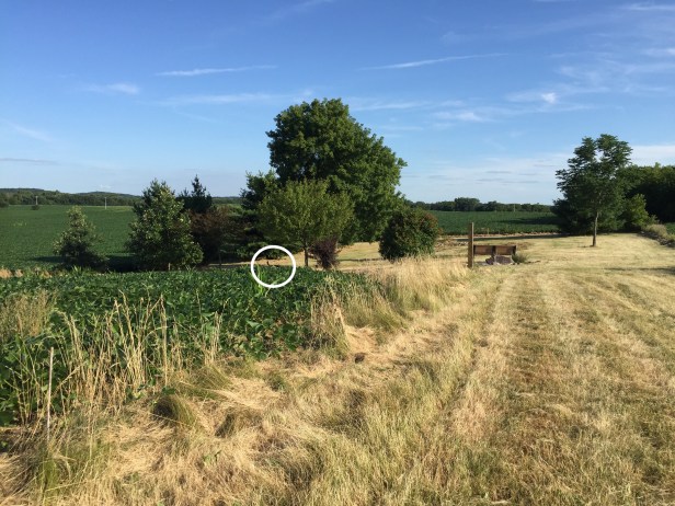 26453796-7741-4300-89e0-b4c2816495da