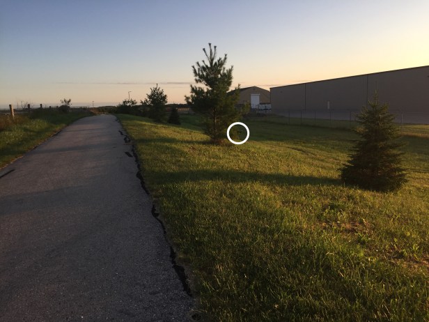 0ef4c35d-9423-499e-bf36-170be477161e