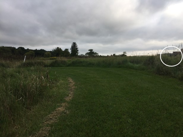 53eb829e-d3a7-43f2-8772-a659ddb23134