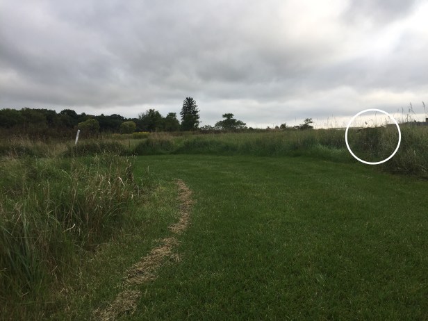 5f635d0d-d93d-4fa3-bf12-dc723c9e5e3c