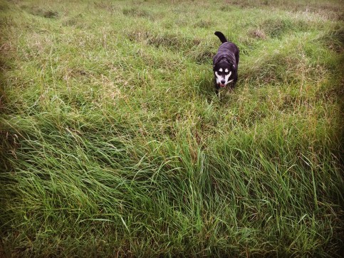 55F2DA8D-9EDC-499C-8E71-F0954BDE4EA8