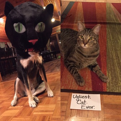 58017156-7BC9-4467-B5A3-141777F93A22 (1)