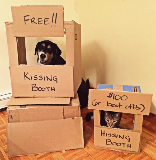 7AC04EFD-8BEC-440A-A7F9-3EB4F356D84F