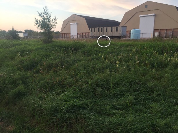 8a0dac2b-27bc-4f47-a0ca-8f3a7639070d