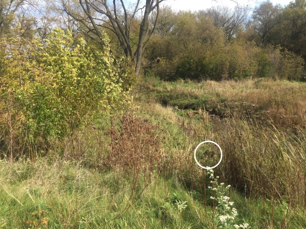 5ff48415-0c72-4968-bb97-b42fadf1e4fb