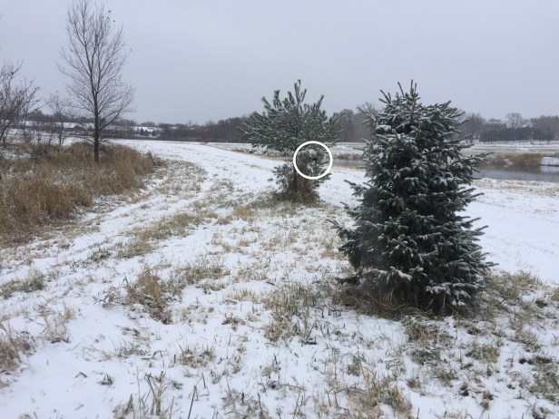 8856939a-2562-44d0-b4e7-1b2e20bca1ac