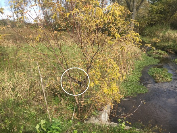 d8762274-bfc0-4851-a425-6d54d11e6a31