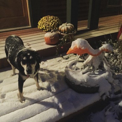 E60F083D-7E7C-4DCC-B4F1-3FFC1F0CF63C