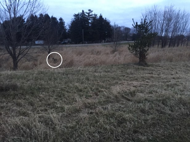 7cded9f8-2515-4d24-90c3-ab137734bb8c