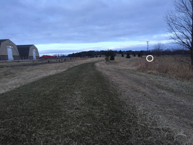 b0b0fcea-6b8b-4656-86f6-4d26a3eddb6e