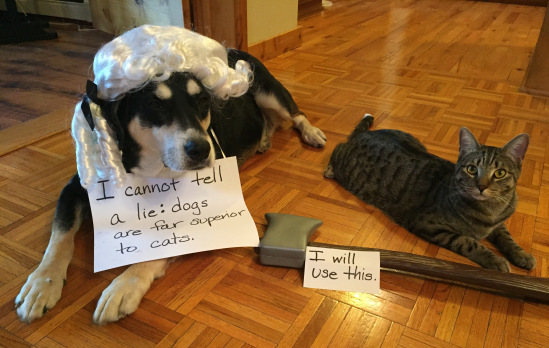 Dog George Washington