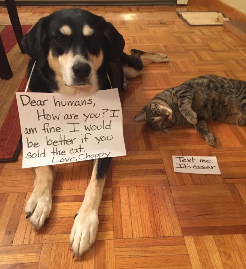 Write a Friend Month