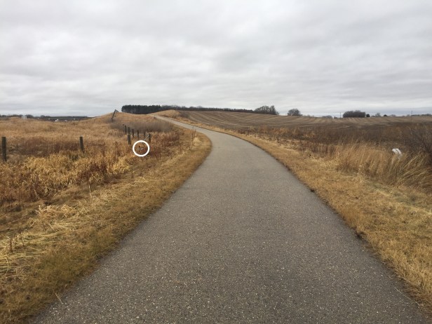 792414e5-446d-4cfe-a447-2a41425b1a31