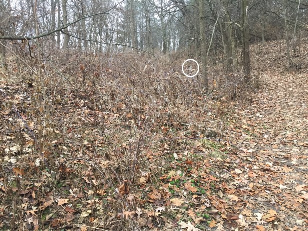 8e57f0ae-e512-4aca-b756-859f76f03cda