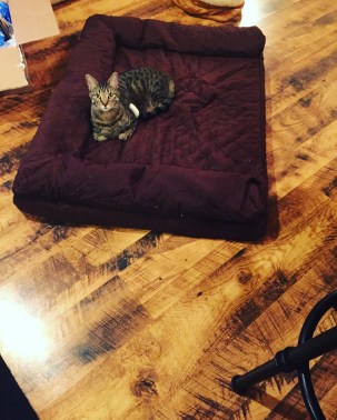 AC6B1EAC-FB4E-48C0-8E20-077E2661B974