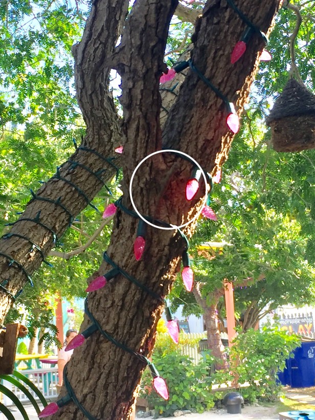 1f0ce1a7-e966-46bf-b422-2d037f41ea5f