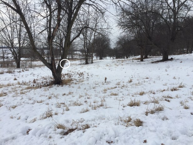 4443da8c-faaf-4fdb-90d1-6e3b6ab9ae3f-1