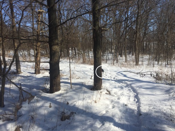 d54383b7-823f-4da5-b4e7-1c8ffb38ee29