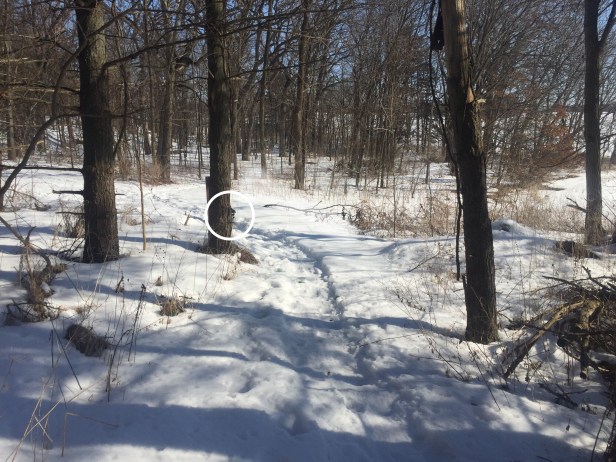 fdfe15aa-555f-4f61-8ae4-7ac53303e405