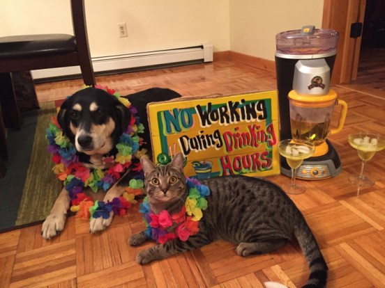 Margarita Dog and Cat
