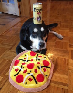 Pizza and Beer Dog